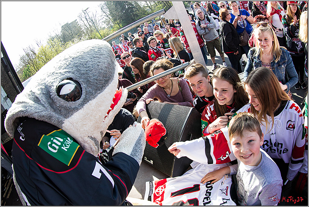 Koelner Haie Abschussparty, 26.03.2017